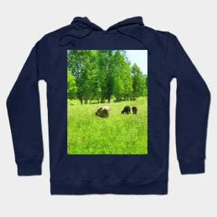 Sheep - Grazing Sheep Hoodie